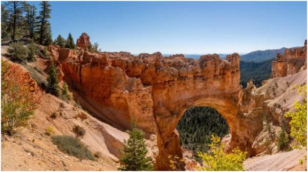 Latin America: Mexico and Costa Rica