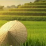 Offbeat travel spots in Vietnam