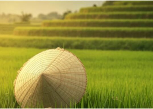 Offbeat travel spots in Vietnam