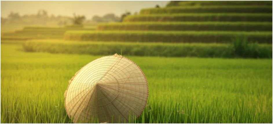 Offbeat travel spots in Vietnam